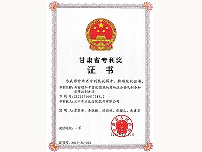 甘肃省专利一等奖（2020.1）