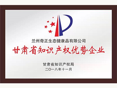 甘肃省知识产权优势企业(2018.11)