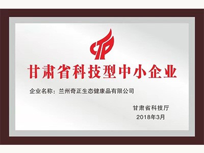 甘肃省科技型中小企业（2018.3）