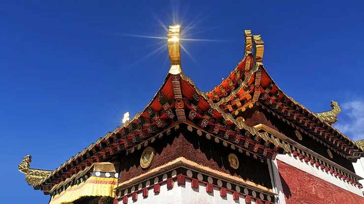 注册完成后请点击提交按钮<br/>
您将获得奇正赠送的会员礼金券
