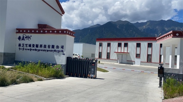 奇正中药·林芝雪域资源科技有限公司简介