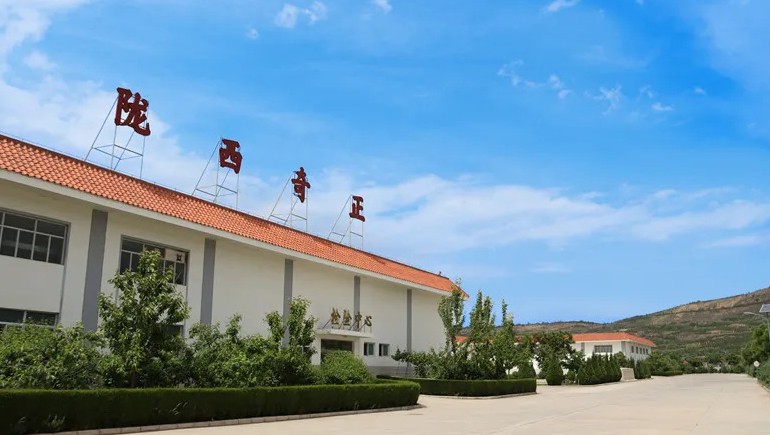 传承本草精粹，共筑品质未来 | 道地药材中药饮片分会正式成立，首次工作会议共谋发展