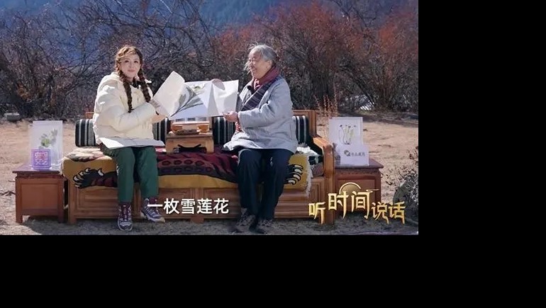 朱迅对话雷菊芳：守护藏医药千年智慧的“行路人”
